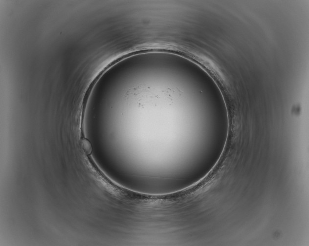 X0000095911228200801111225
