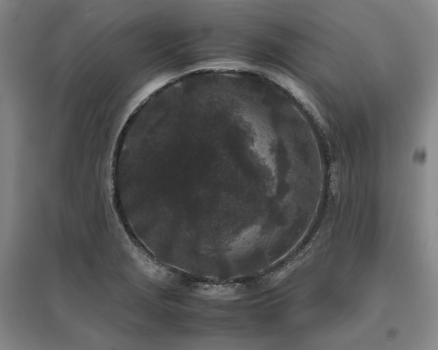 X0000095911229200801111225