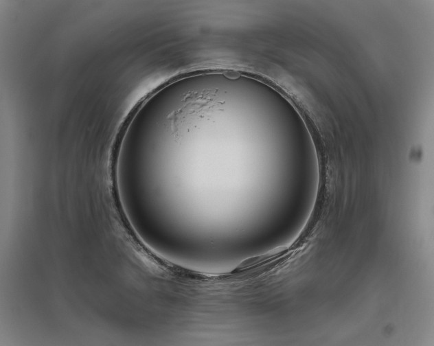 X0000095911230200801111225