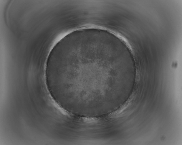 X0000095911231200801111225