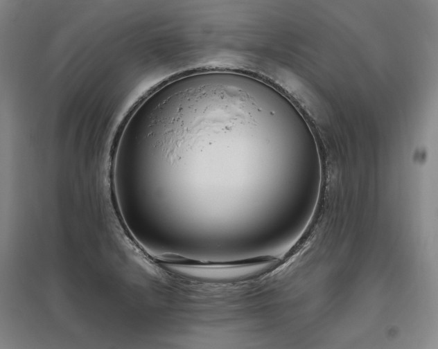 X0000095911232200801111225