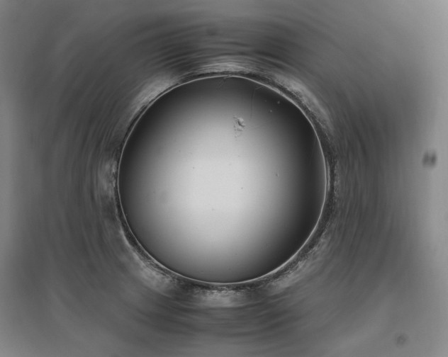 X0000095911233200801111225