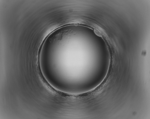 X0000095911234200801111225