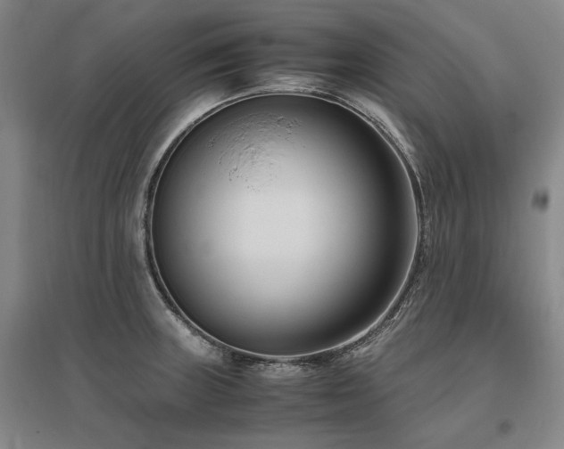 X0000095911235200801111225