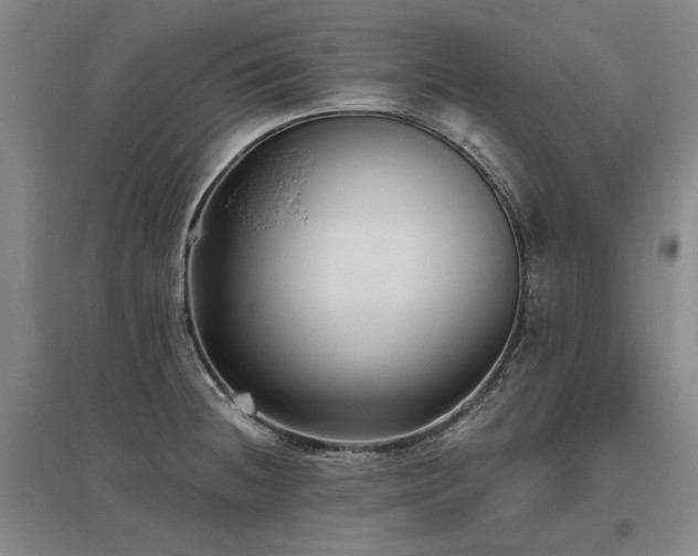 X0000095911236200801111225