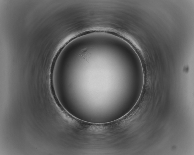 X0000095911237200801111225