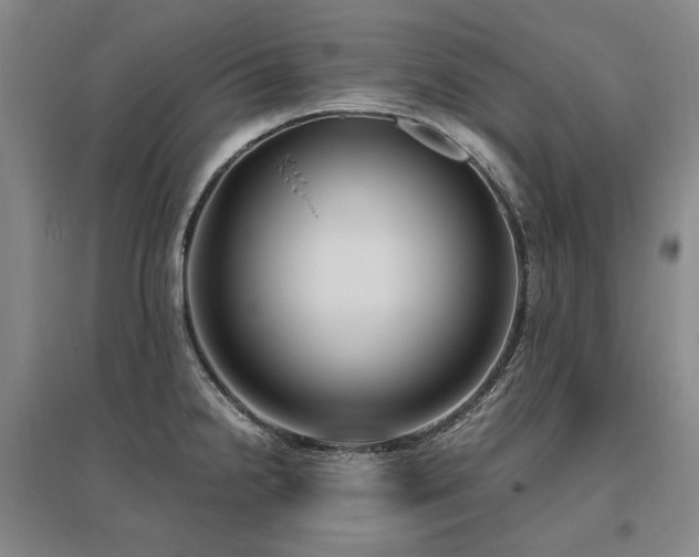X0000095911238200801111225
