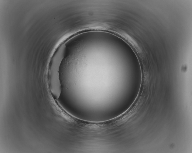 X0000095911240200801111225