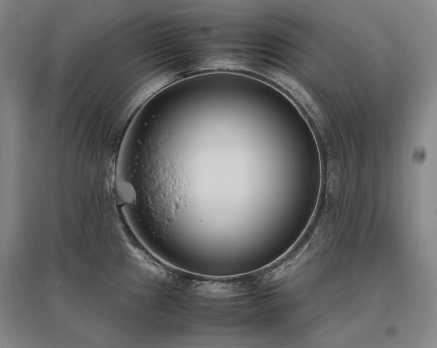 X0000095911241200801111225