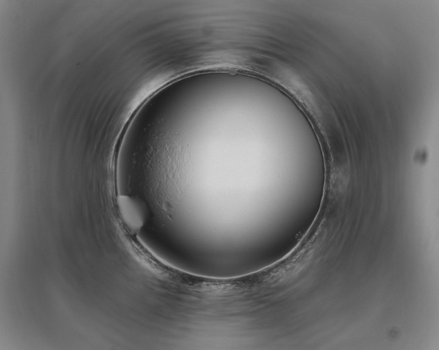 X0000095911242200801111225