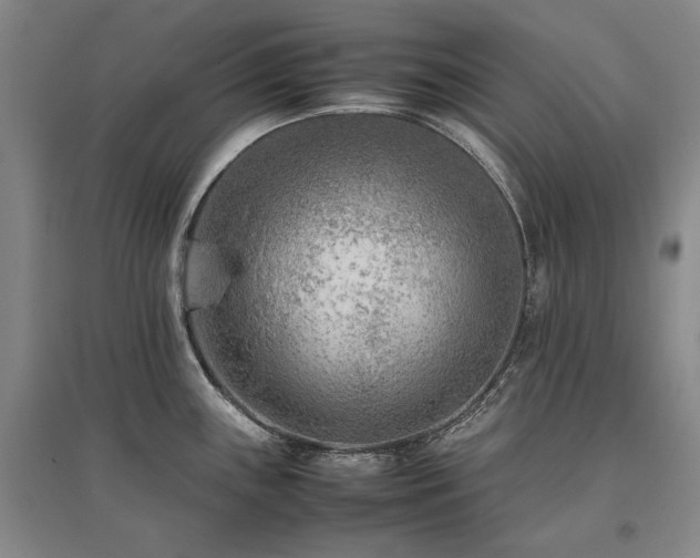 X0000095911243200801111225
