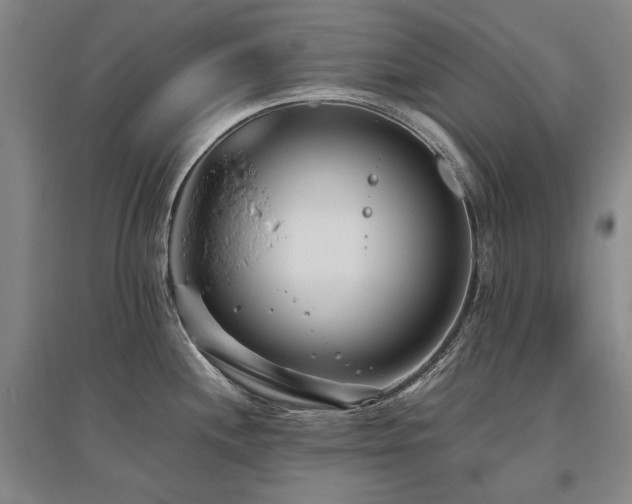 X0000095911244200801111225