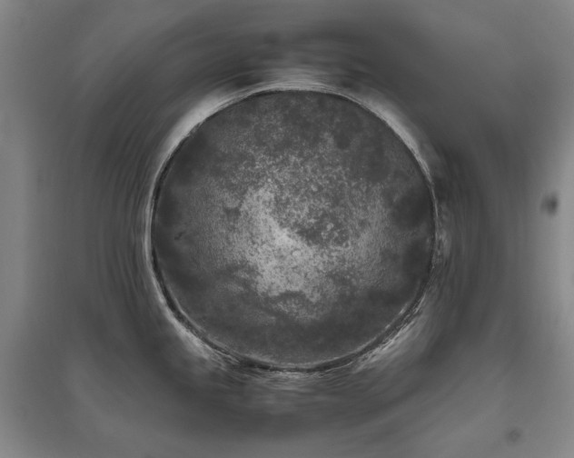 X0000095911245200801111225