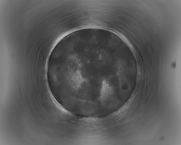 X0000095911246200801111225