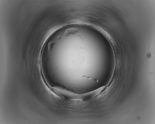 X0000095911247200801111225