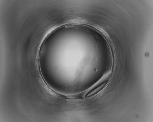 X0000095911248200801111225