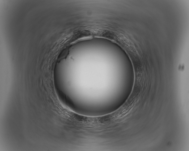 X0000095911249200801111224