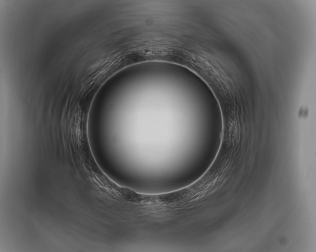X0000095911250200801111224