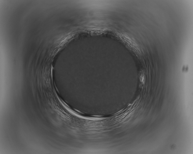X0000095911252200801111224