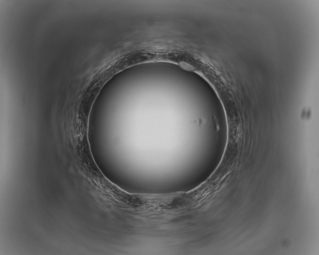 X0000095911253200801111224