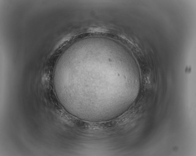 X0000095911254200801111224