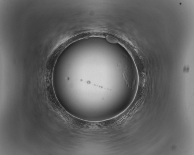 X0000095911255200801111224