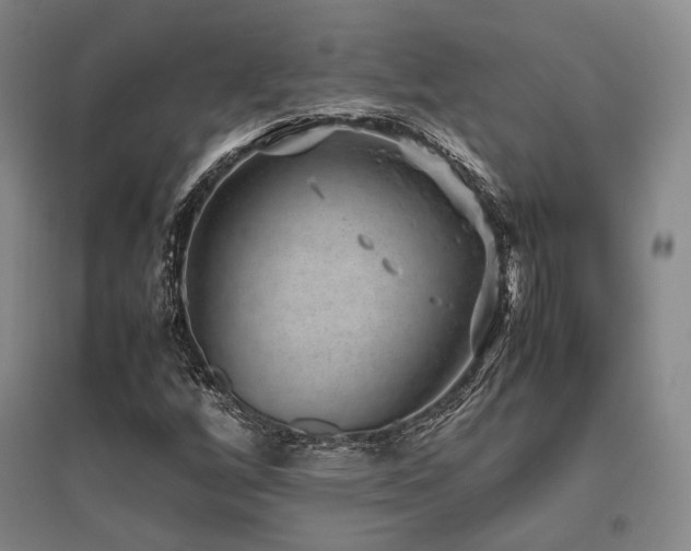 X0000095911256200801111224