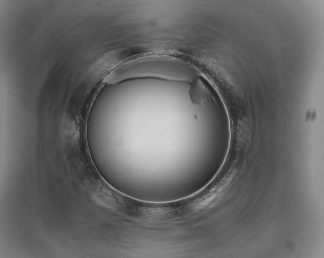 X0000095911257200801111224