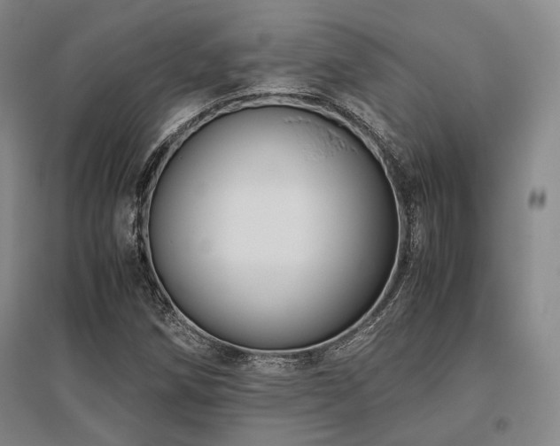 X0000095911258200801111224
