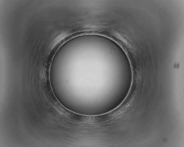 X0000095911259200801111224