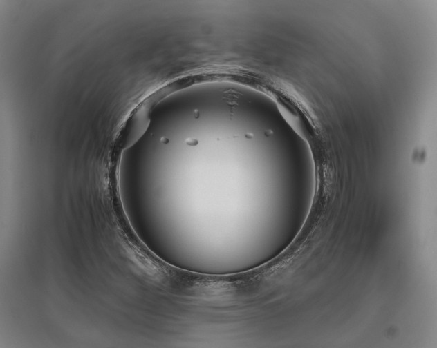 X0000095911260200801111224