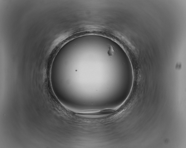 X0000095911261200801111224