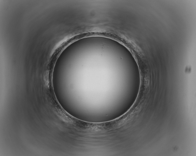 X0000095911262200801111224