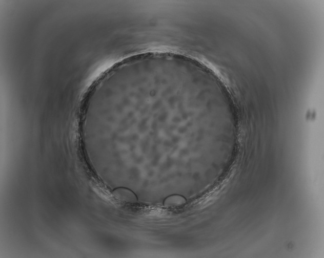 X0000095911263200801111224