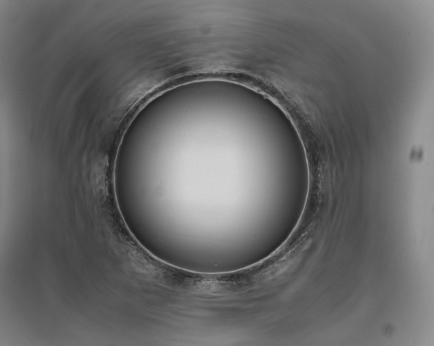 X0000095911265200801111224
