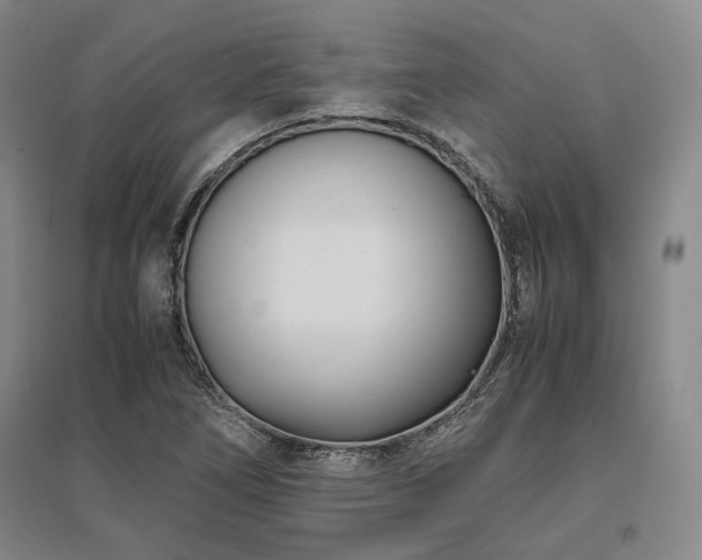 X0000095911266200801111224