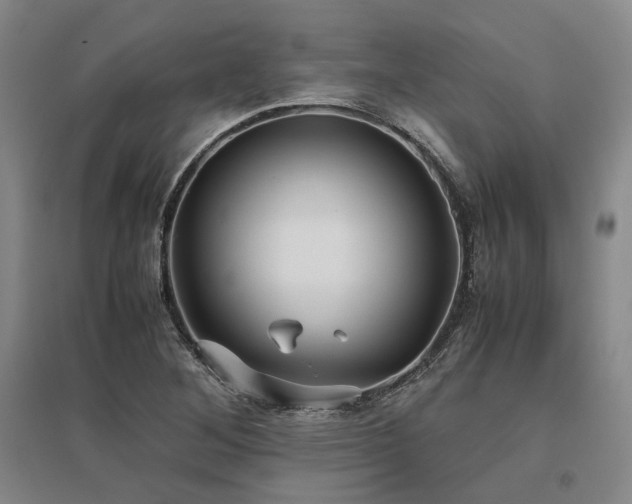 X0000095911268200801111224