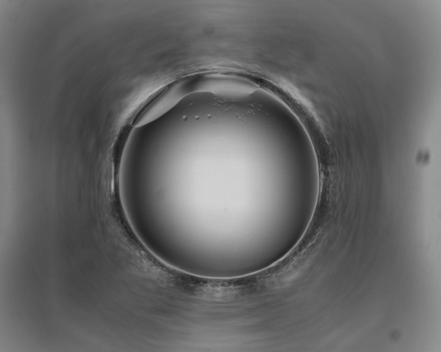 X0000095911269200801111224