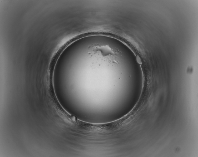 X0000095911270200801111224