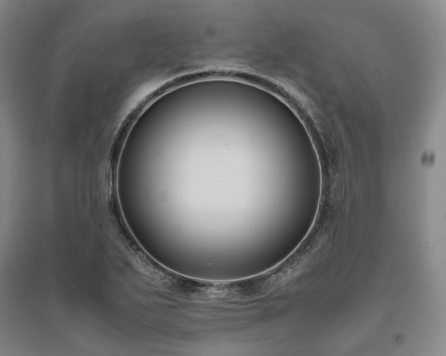X0000095911271200801111224