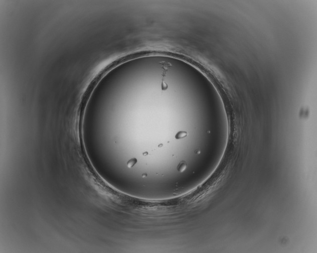 X0000095911272200801111224