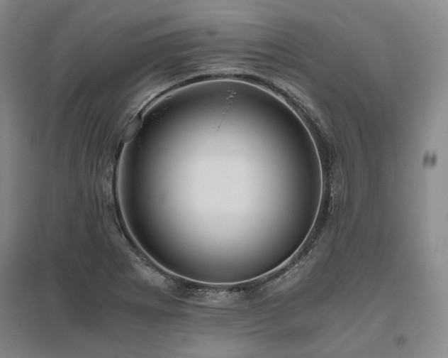 X0000095911273200801111224