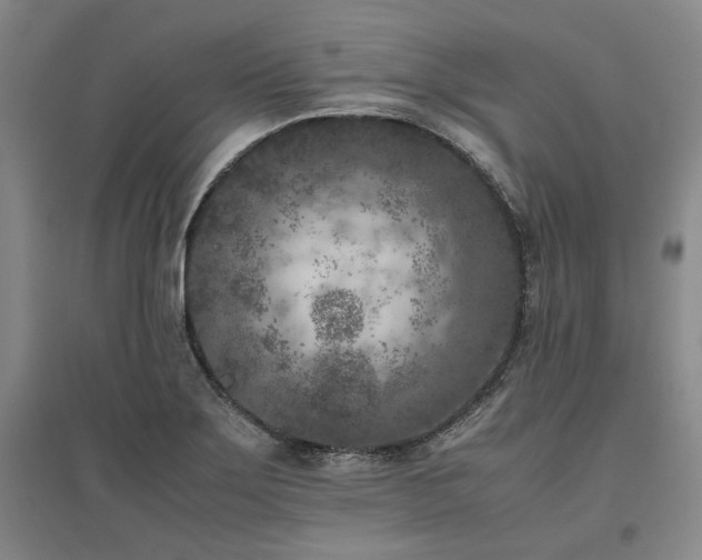 X0000095911275200801111224