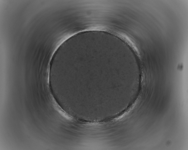 X0000095911276200801111224