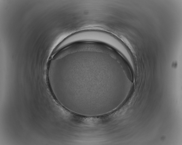 X0000095911277200801111224