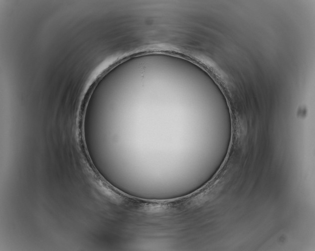 X0000095911278200801111224