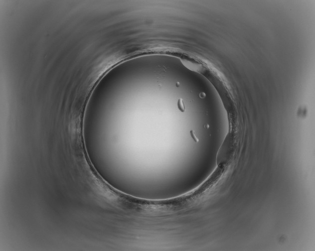 X0000095911281200801111224
