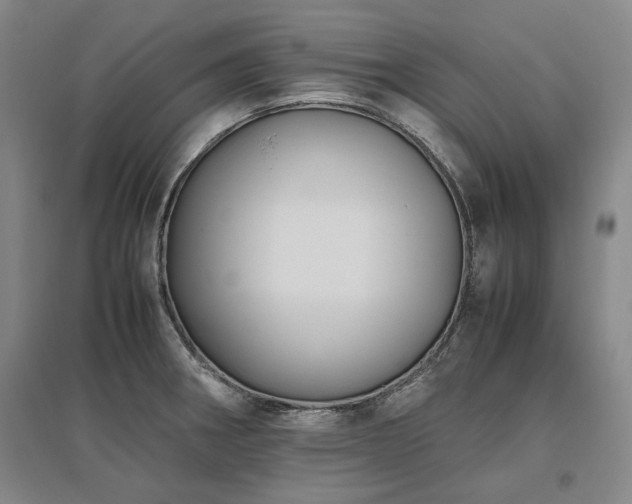 X0000095911282200801111224