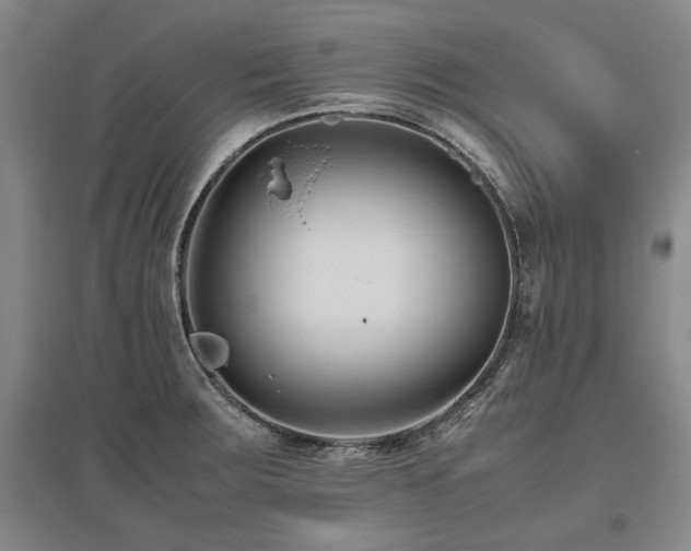 X0000095911283200801111224
