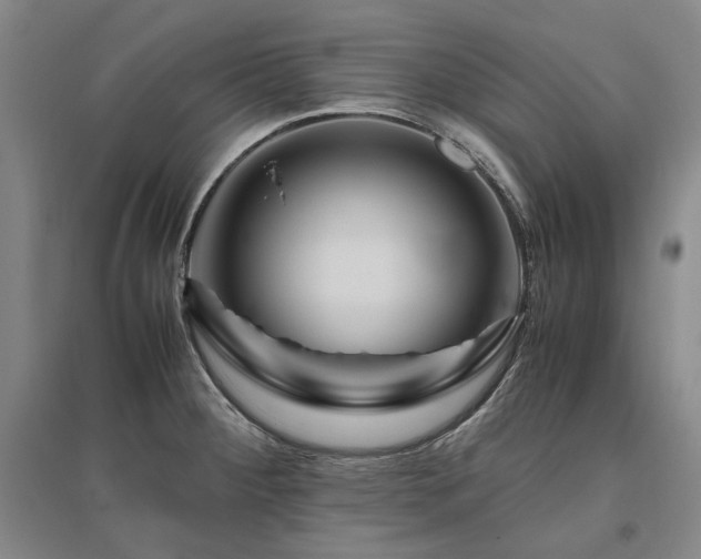 X0000095911284200801111224